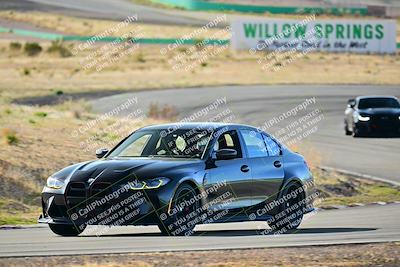 media/Mar-22-2025-West Coast Racing (Sat) [[0d49b412c8]]/Blue Group/Session 1 (Turn 4-Exterior)/